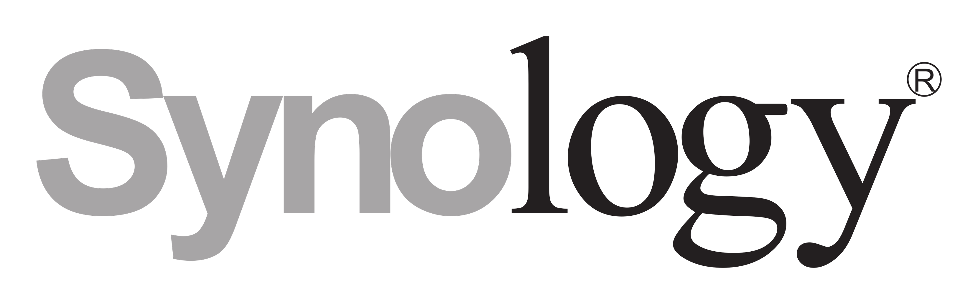 Synology logo on a transparent background