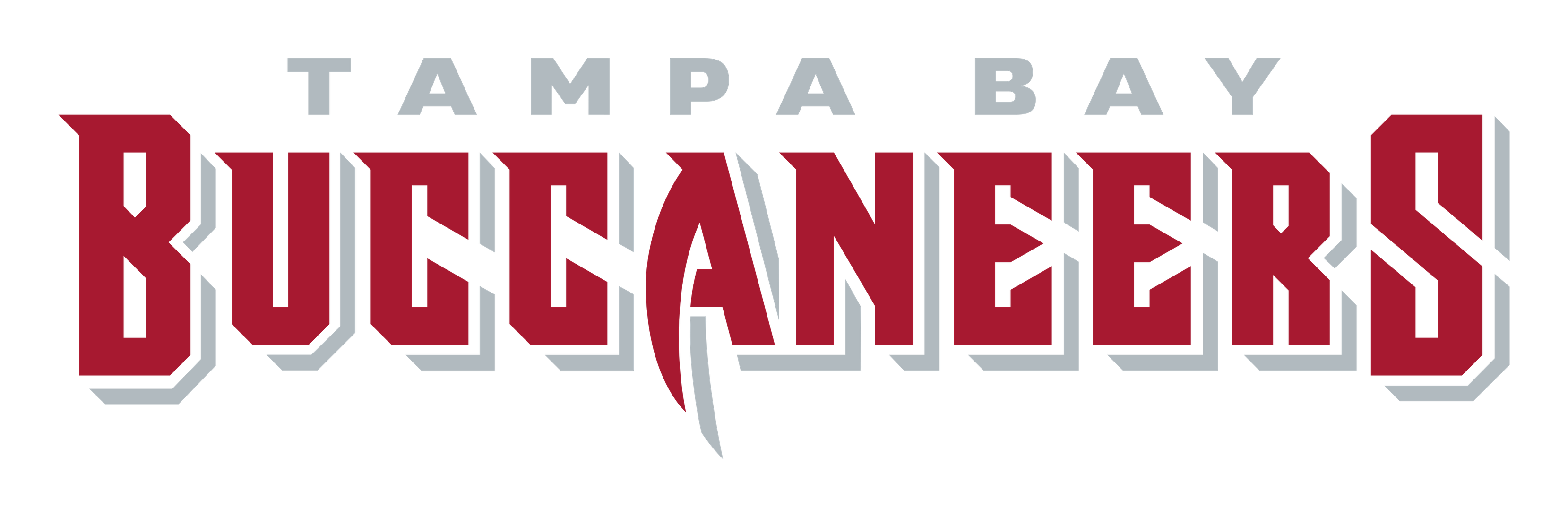 Tampa Bay Buccaneers logo on a transparent background