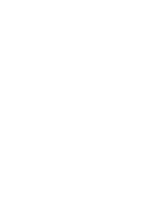 Techint logo, white version, on a transparent background
