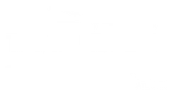Tempur Pedic logo, white version, on a transparent background