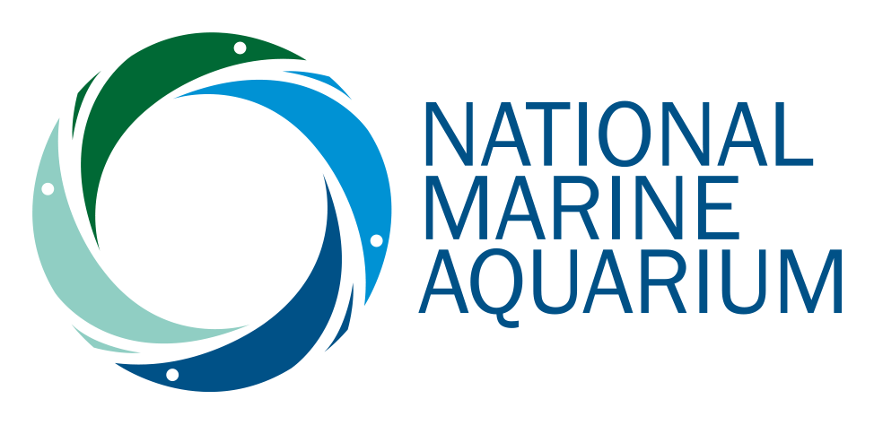 Tennessee Aquarium logo on a transparent background