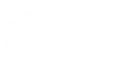 Tetley logo, white version, on a transparent background