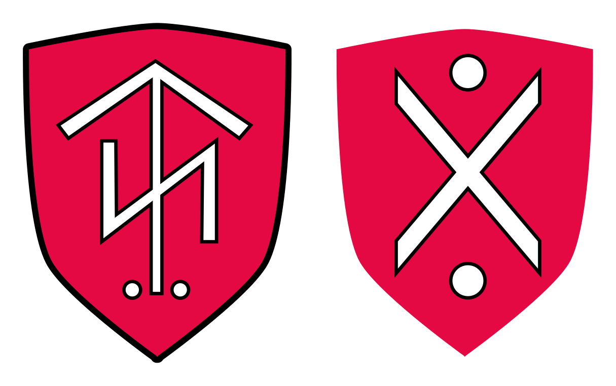Thor Steinar logo on a transparent background