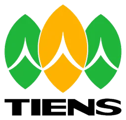 Tiens logo, icon version, on a transparent background