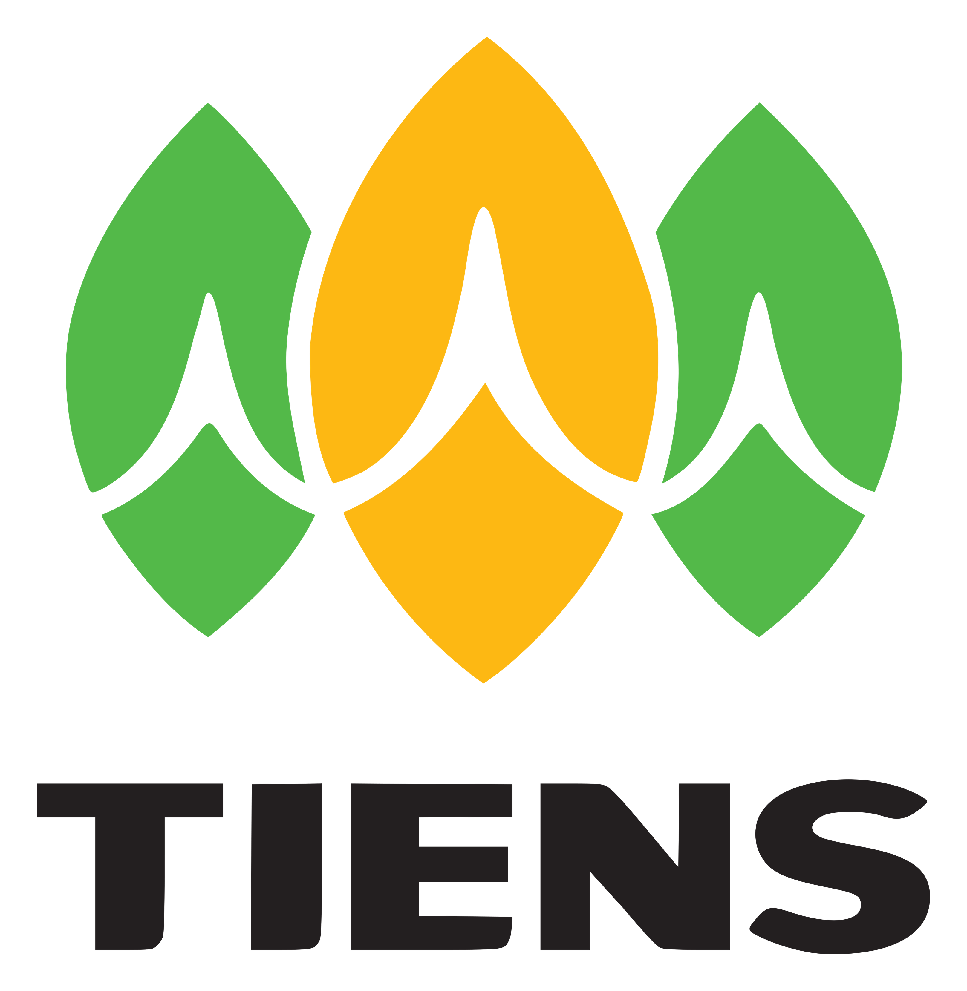 Tiens logo on a transparent background