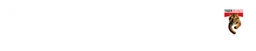 Logo Tiger Brands, version logotype blanc, sur fond transparent