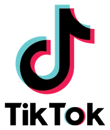 Tiktok Banner Black logo