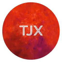 TJX logo, icon version, on a transparent background