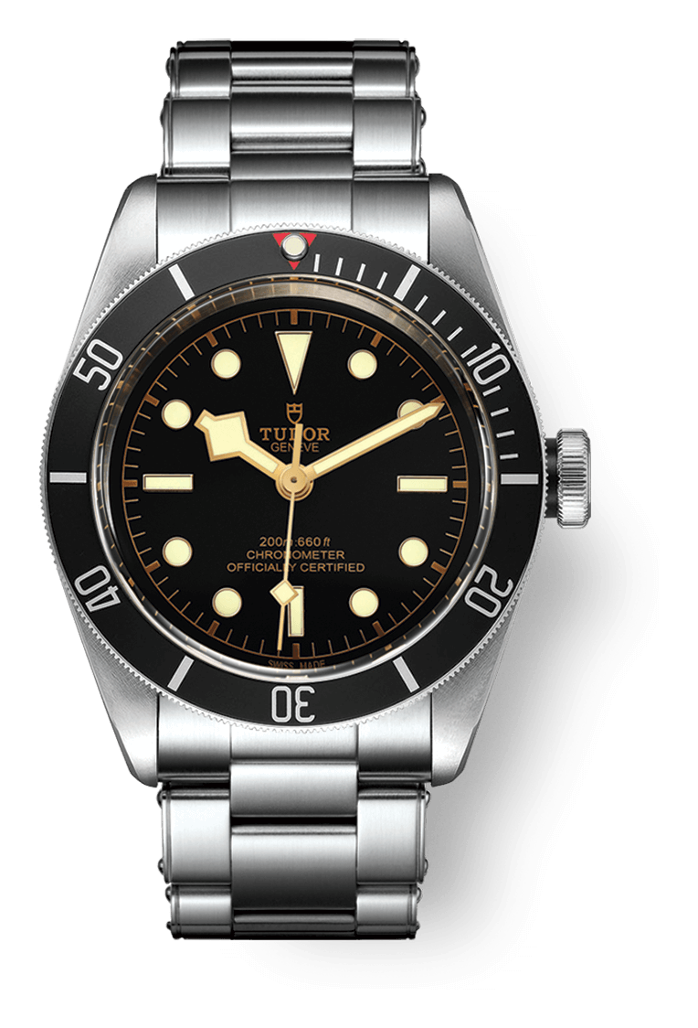 Tudor logo, monochrome version, on a transparent background