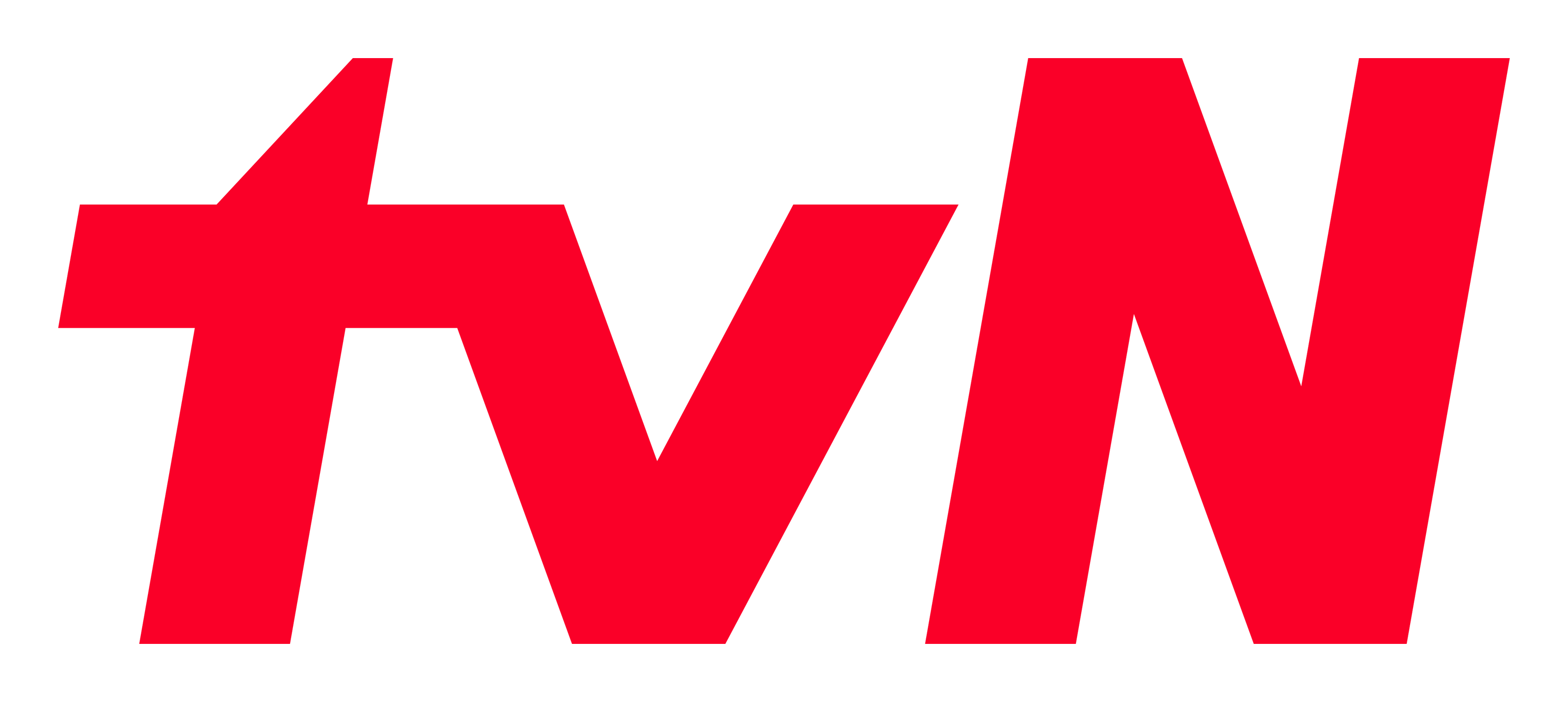 TVN logo on a transparent background