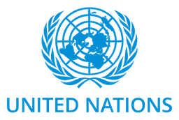 UN logo, horizontal version, on a transparent background