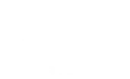 Under Armour logo, white version, on a transparent background