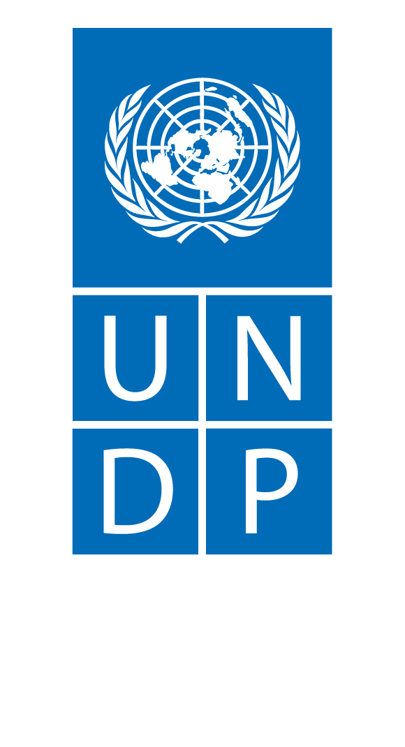 Undp logo on a transparent background