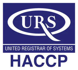Urs logo, icon version, on a transparent background