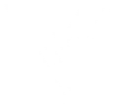 Vanguard logo, white icon version, on a transparent background
