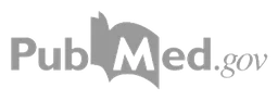Vectorspace AI logo, monochrome wordmark version, on a transparent background