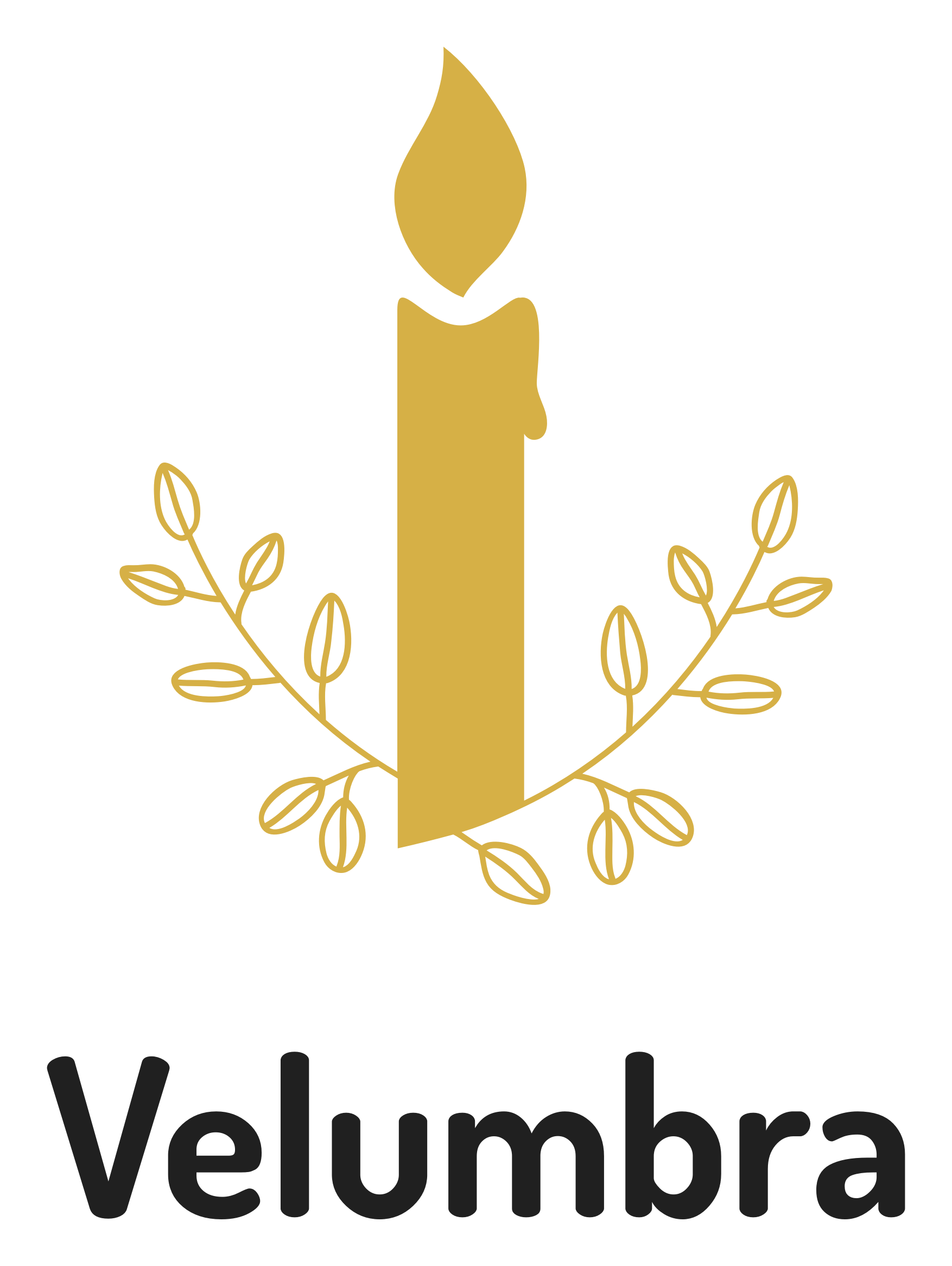 Velas logo on a transparent background