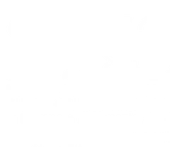Venice Film Festival logo, white icon version, on a transparent background