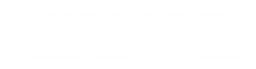Vianor logo, white wordmark version, on a transparent background