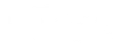 Vice logo, white wordmark version, on a transparent background