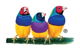 Viewsonic logo, horizontal version, on a transparent background