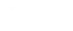 Virgin Records logo, white wordmark version, on a transparent background