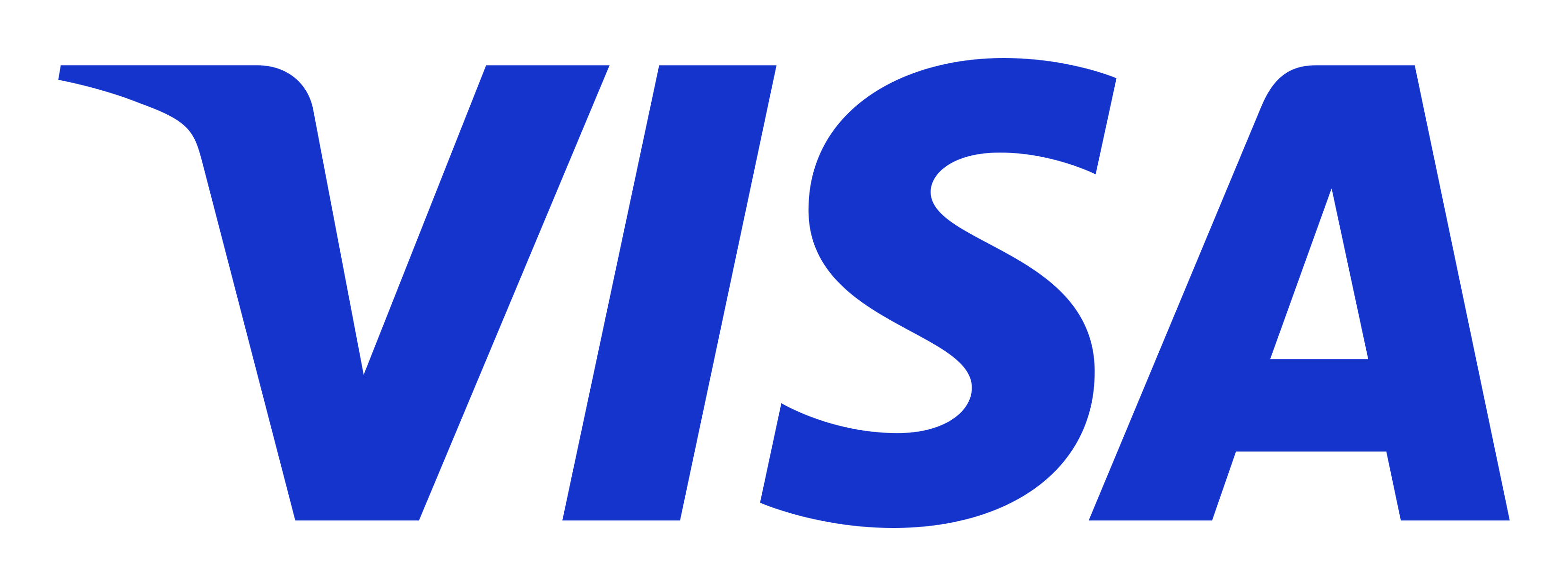 Visa logo on a transparent background