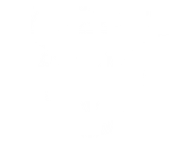 Visconti logo, white icon version, on a transparent background