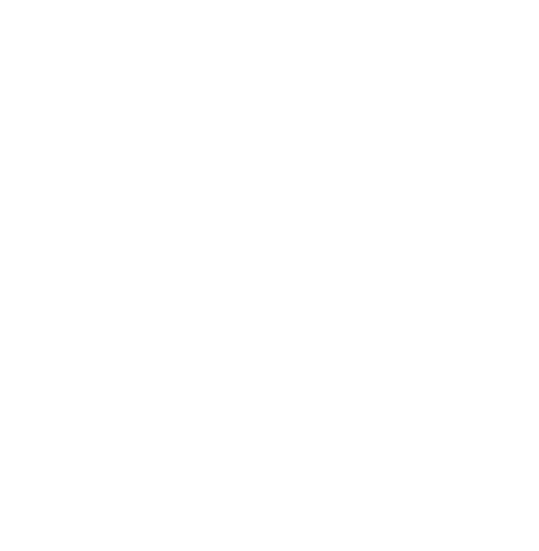Vision Street Wear logo, white icon version, on a transparent background