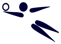 Voli logo, horizontal version, on a transparent background