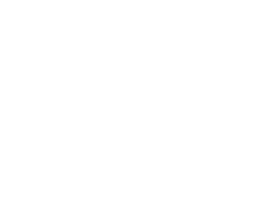 Vortex logo, white version, on a transparent background