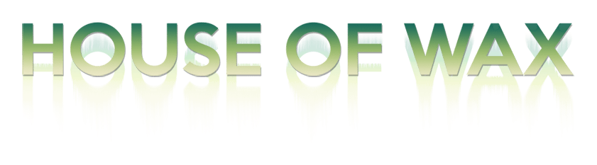 Wax logo on a transparent background