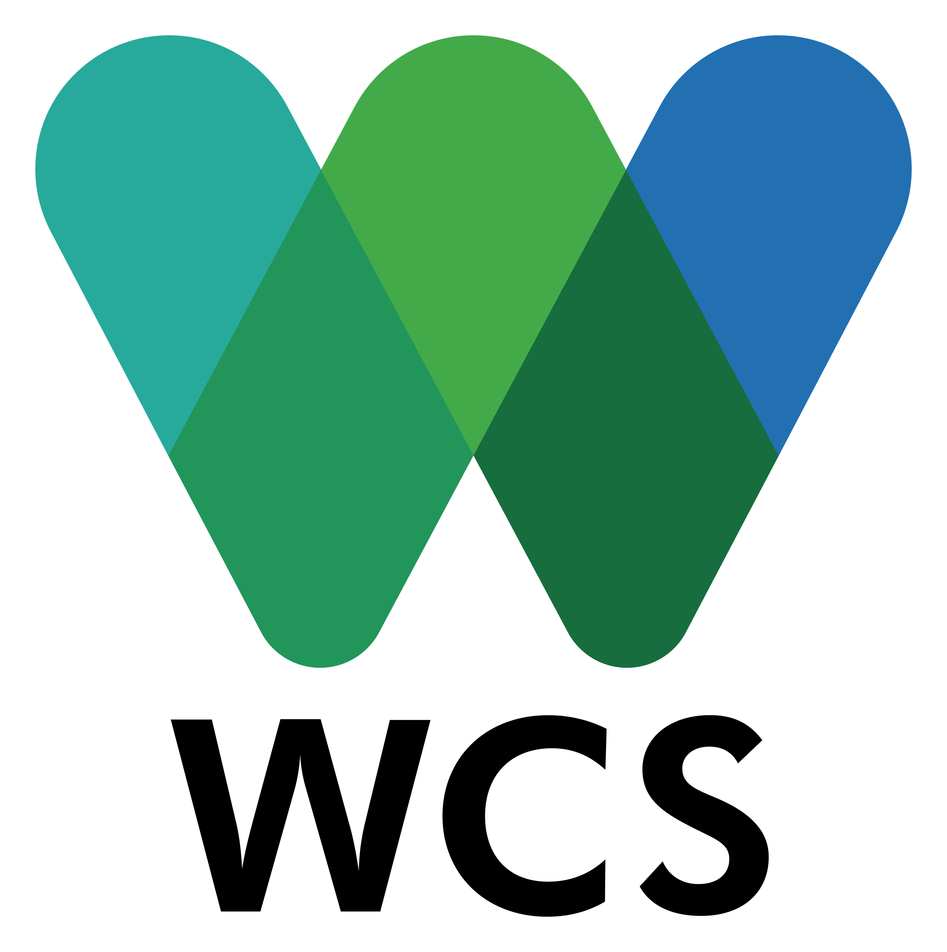 WCS logo on a transparent background