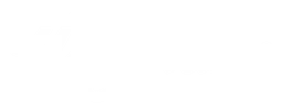 Wegmans logo, white wordmark version, on a transparent background
