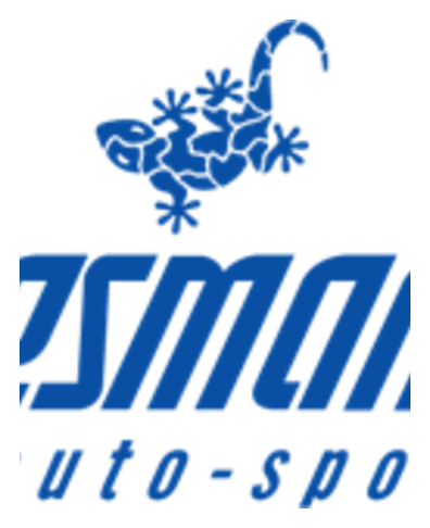 Wiesmann logo, icon version, on a transparent background