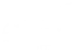 Wilkinson Sword logo, white version, on a transparent background