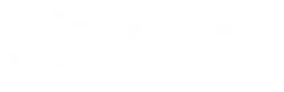 Wilkinson logo, white wordmark version, on a transparent background