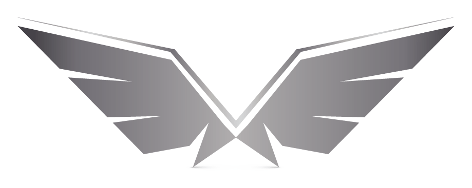 Wing logo on a transparent background