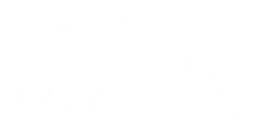 Wizz Air logo, white version, on a transparent background