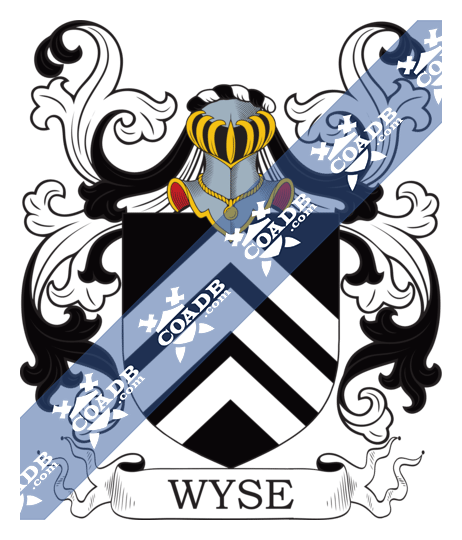 Wyse logo, icon version, on a transparent background