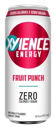 Xyience logo