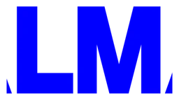 Zalman logo, horizontal version, on a transparent background
