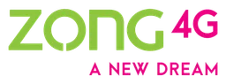 Zong logo